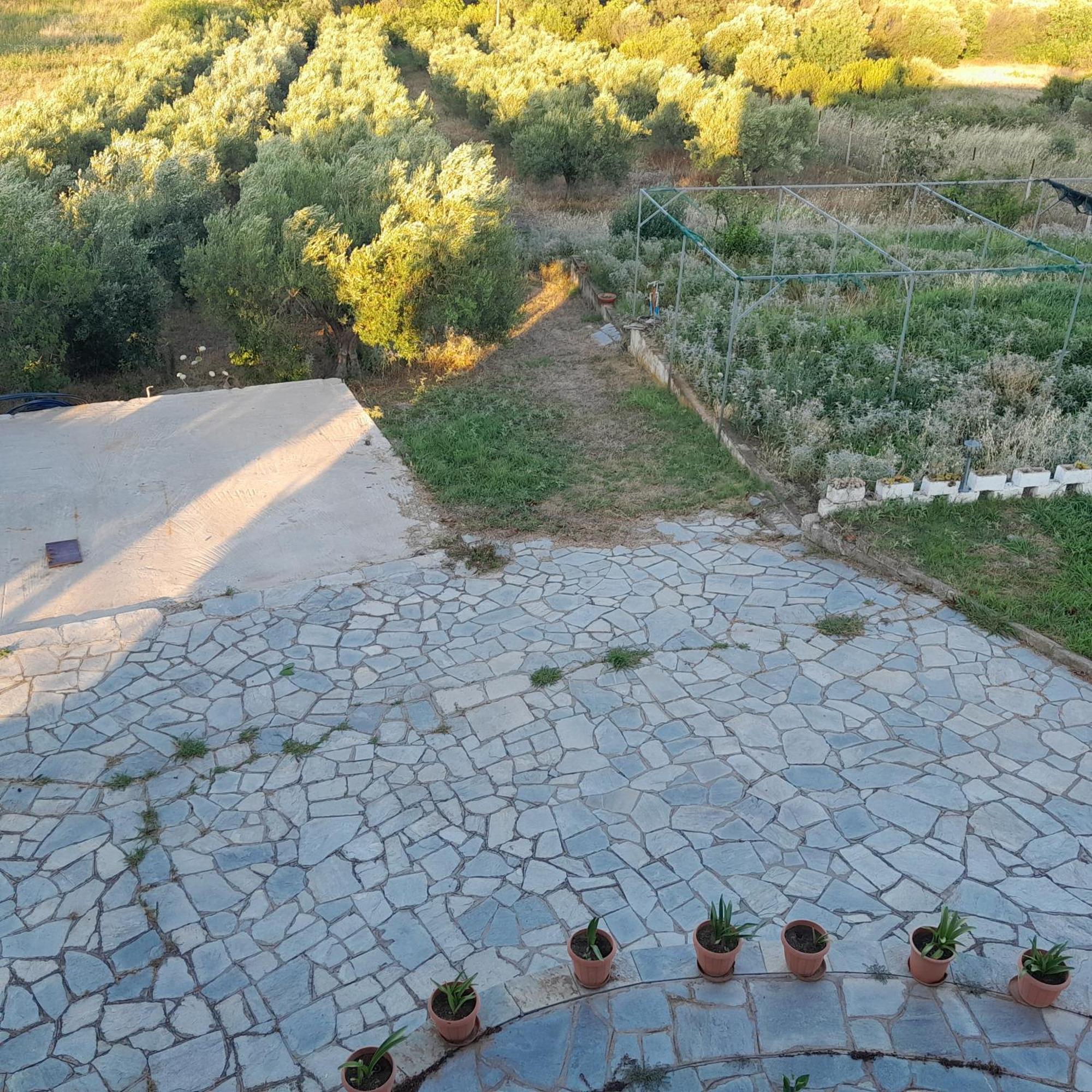 Villa Costa Mama *
