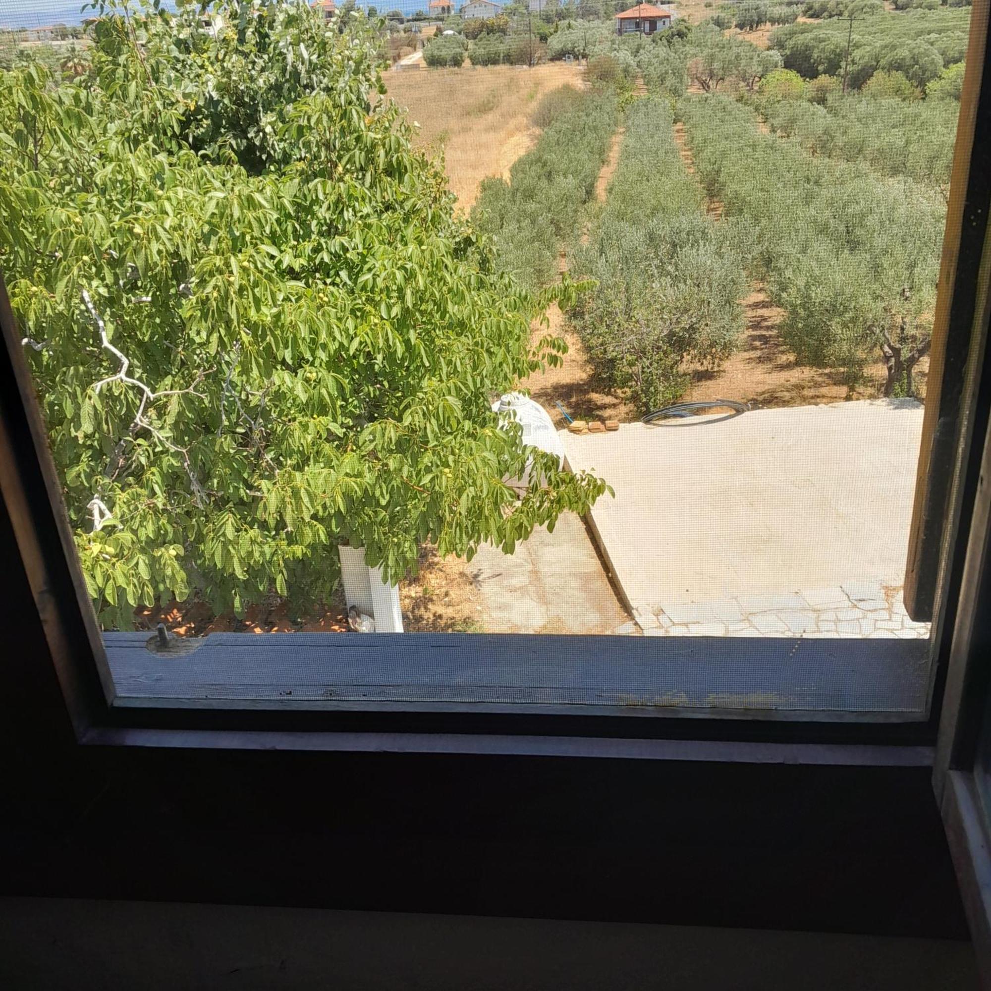Villa Costa Mama Nea Poteidaia