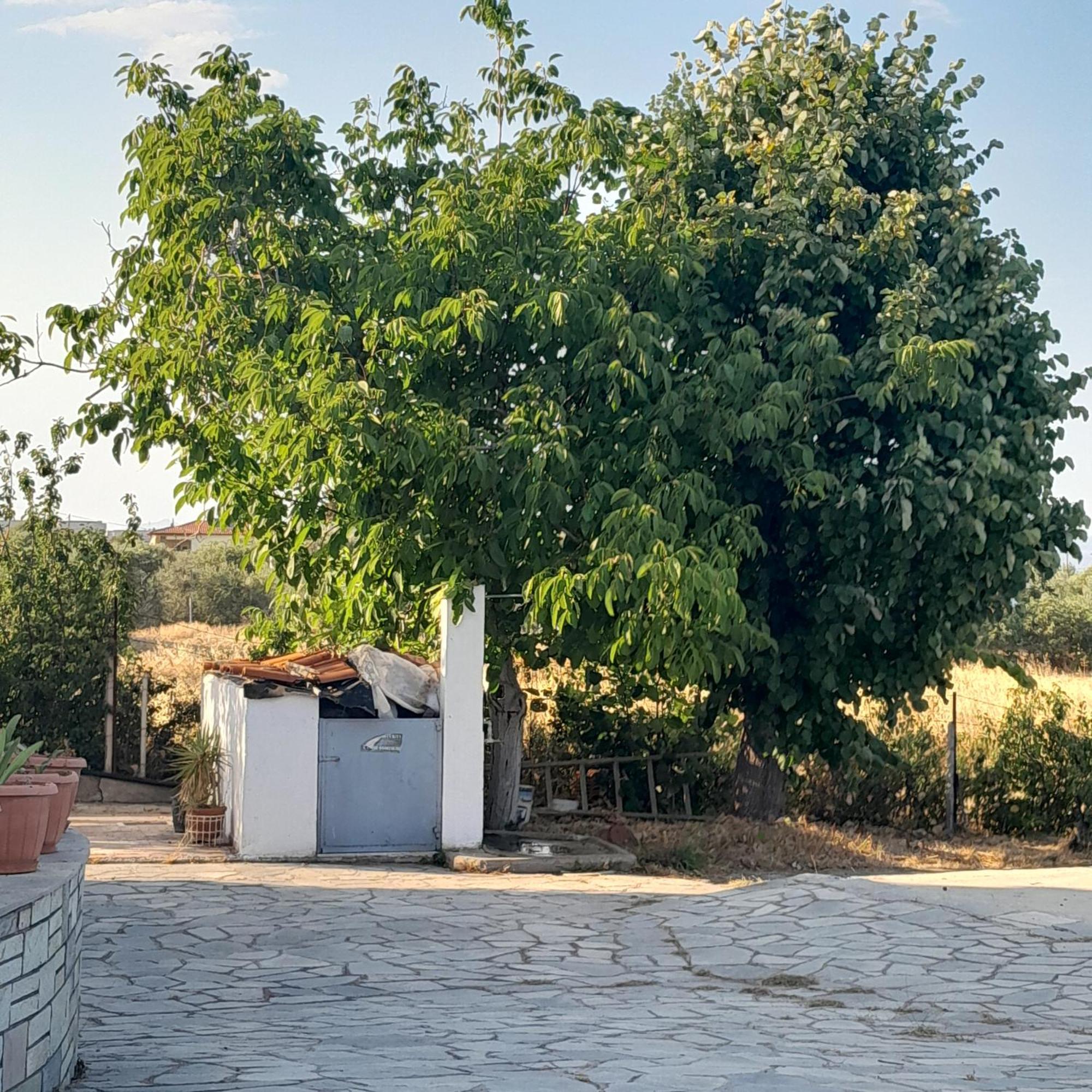 Costa Mama Villa *