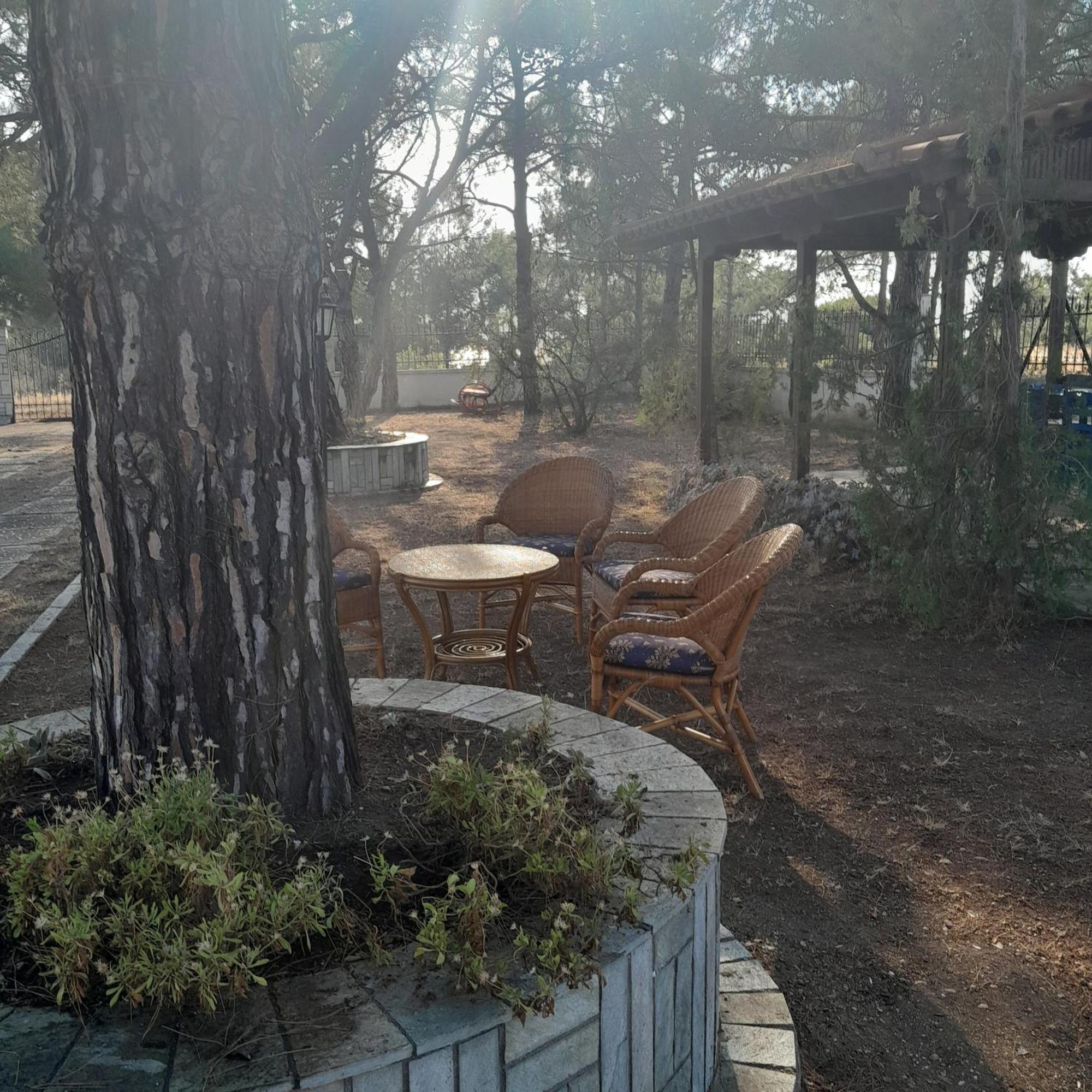 Costa Mama Villa