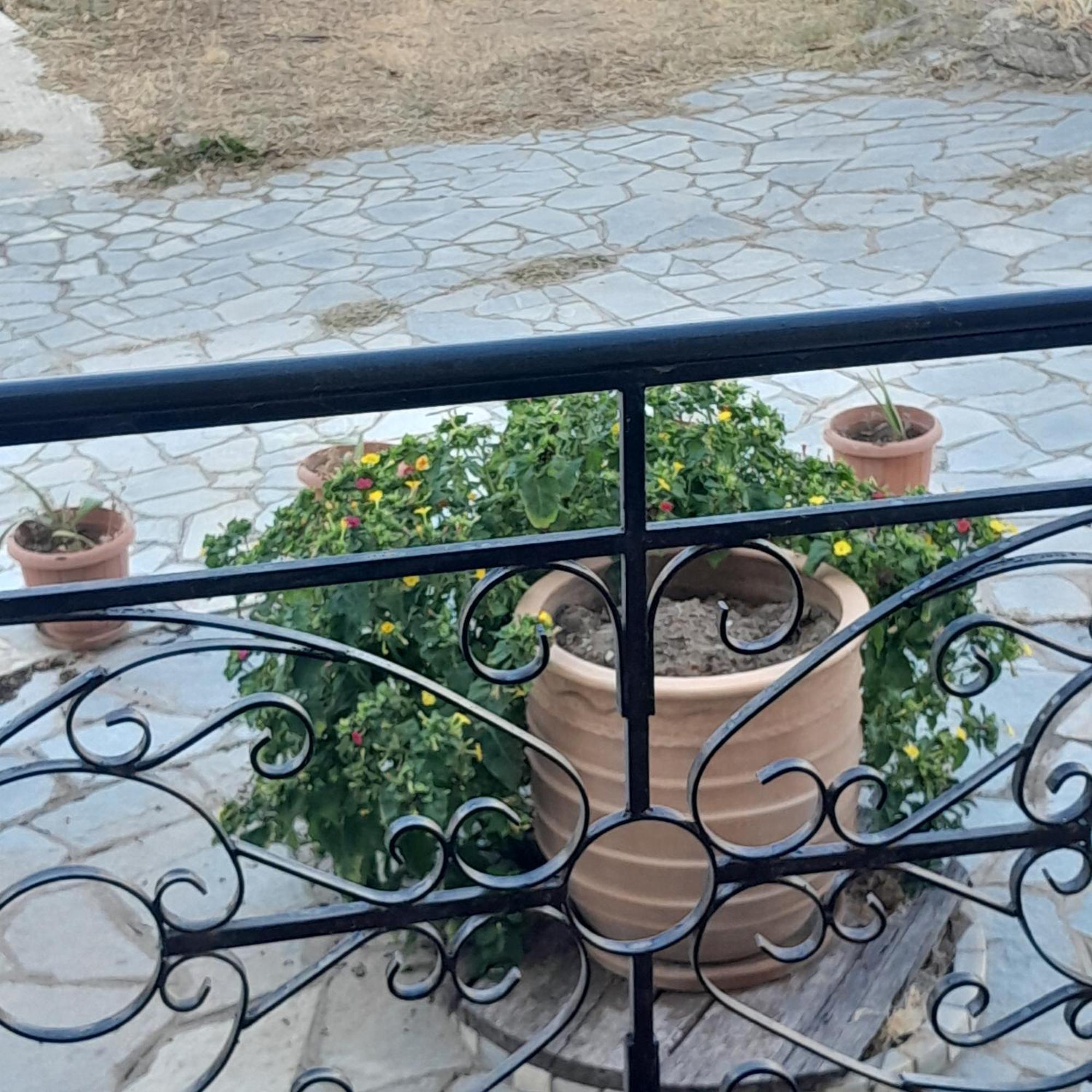 Costa Mama Villa