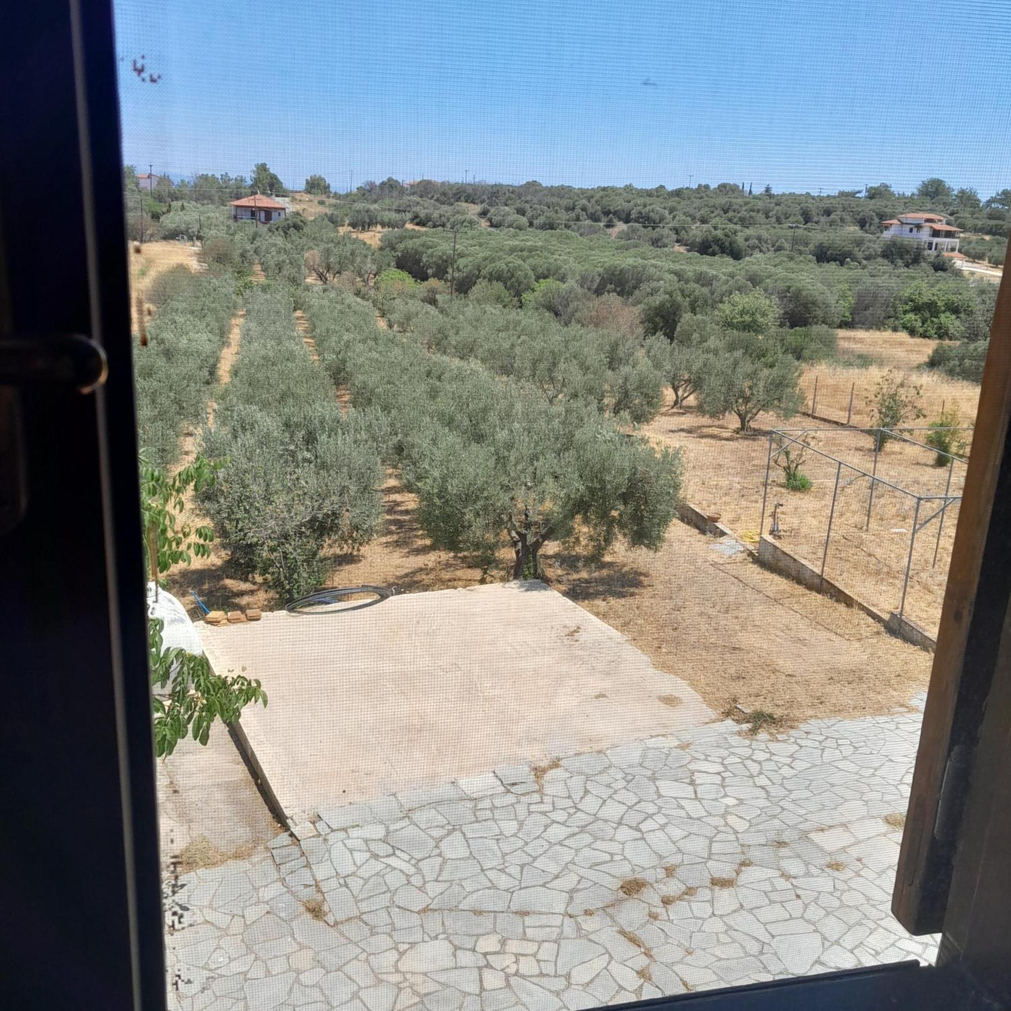 Villa Costa Mama *